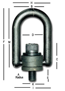 Standard Hoist Ring